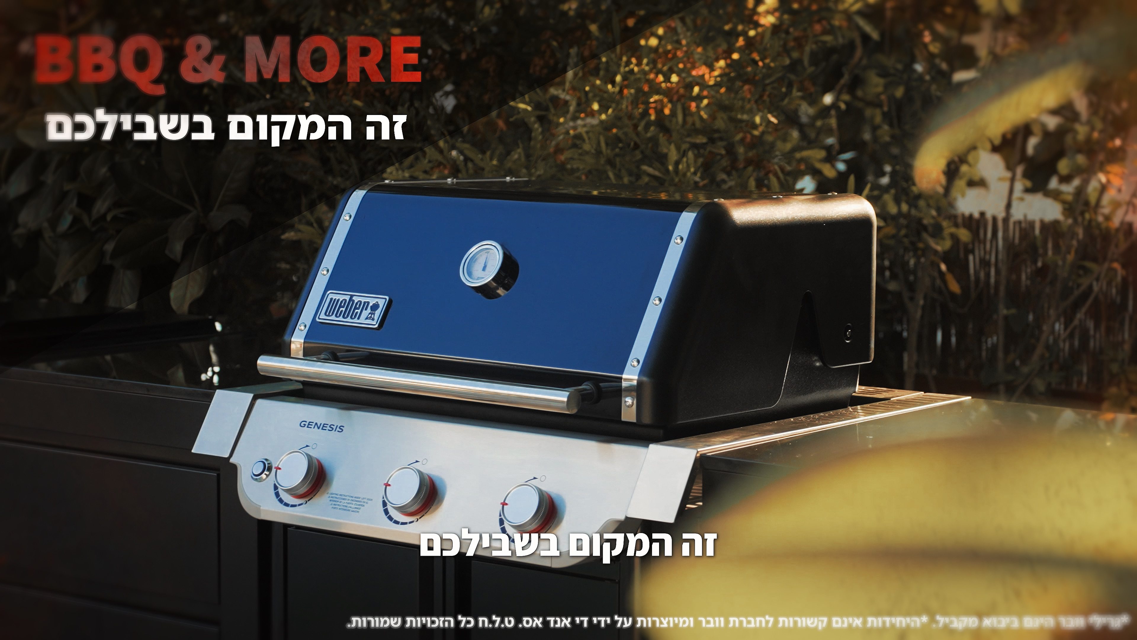 BBQ & More
